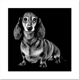 Dachshunds Poodle Style, Trendsetting Tail-Wagging T-shirt Posters and Art